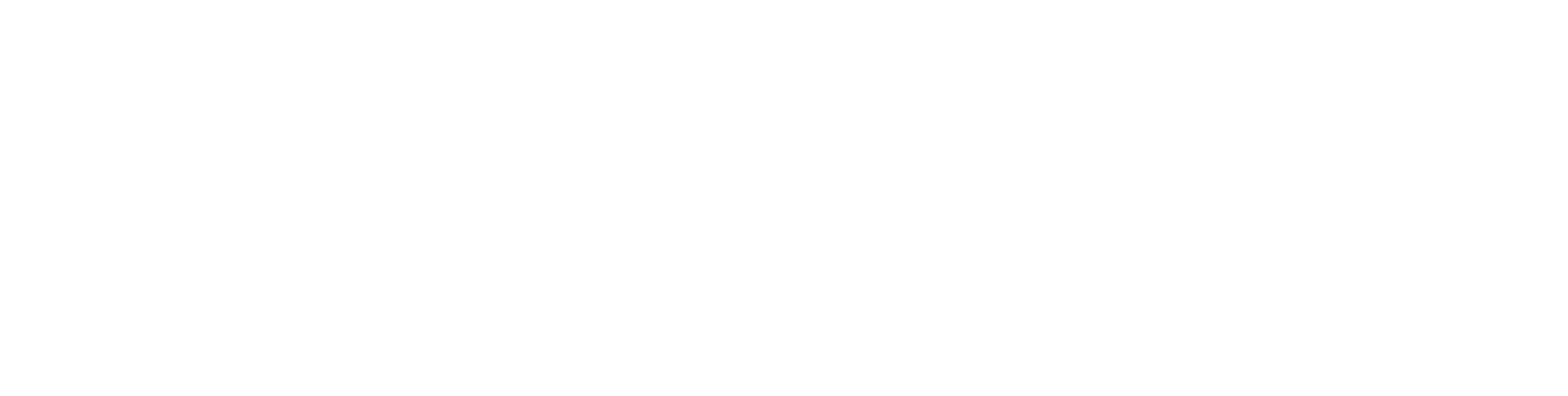 NextaimV2